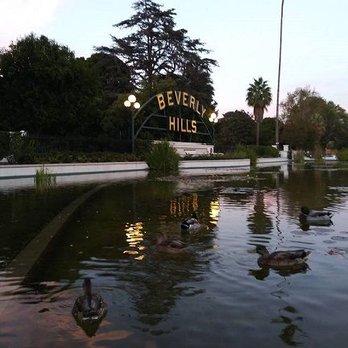 Beverly Gardens Park - The Beverly Hills Sign and Lily Pond. Photo by, George Vreeland Hill - Parks Near Me - Beverly Hills, California