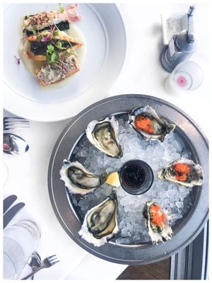 Catalina Restaurant by null