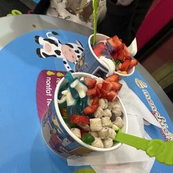 Menchie's Frozen Yogurt - Amazing! Highly recommend