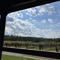 Junius Lindsay Vineyard