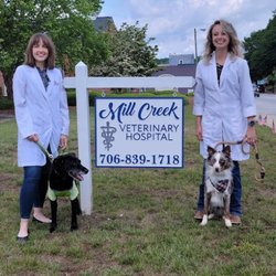 Mill Creek Veterinary Hospital