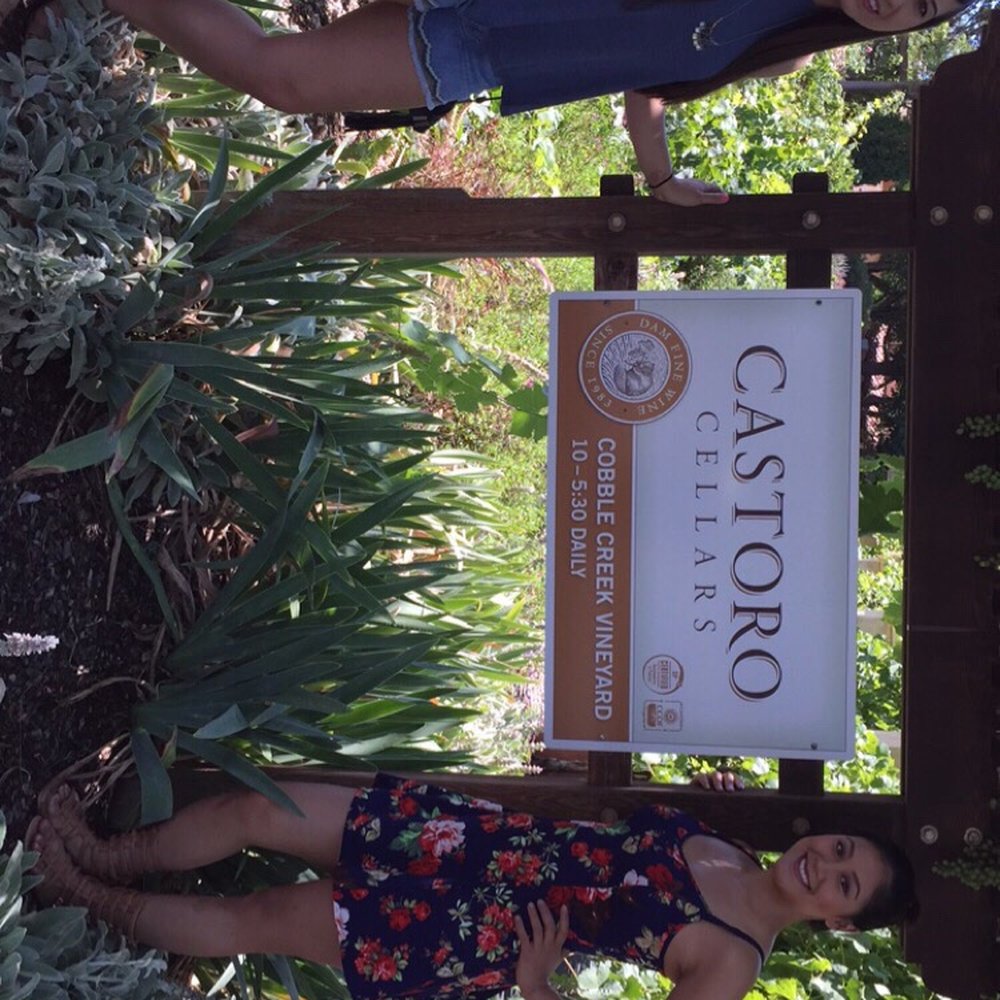 Castoro Cellars - Wineries Near Me - Templeton, California