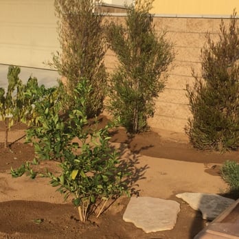 Corona Landscape - Masonry/Concrete Near Me Corona Landscape - Masonry/Concrete Near Me