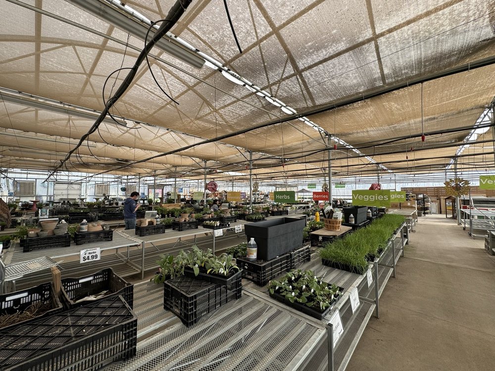 ZAMZOWS Updated October 2024 12 Photos & 10 Reviews 545 E Chinden