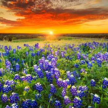 Baldwin Brothers Funeral & Cremation - Cremation Services Near Me - Largo, Florida Baldwin Brothers Funeral & Cremation - Cremation Services Near Me - Largo, Florida
