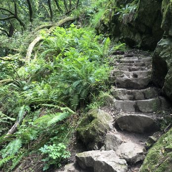 Dipsea - Hiking Near Me