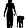 Photo of AKA Dog Obedience Training, LLC