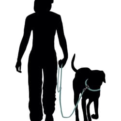 AKA Dog Obedience Training, LLC - AKA Dog Obedience Training