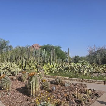 Desert Botanical Garden - A beautiful and tranquil garden. - Botanical Gardens Near Me - Phoenix, Arizona