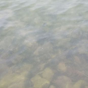 Hagerstown City Park - Fish! - Parks Near Me - Hagerstown, Maryland Hagerstown City Park - Fish! - Parks Near Me - Hagerstown, Maryland