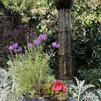 Robins Restaurant - Love all the plants and flowers. - New American Near Me - Cambria, California Robins Restaurant - Love all the plants and flowers. - New American Near Me - Cambria, California