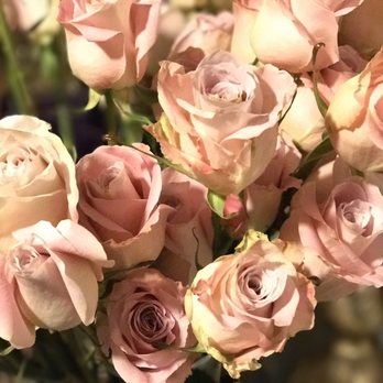 Lily's Enterprices - Florists Near Me - Carlsbad, California Lily's Enterprices - Florists Near Me - Carlsbad, California