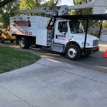 Clark's Tree Works - Showed up on time! - Tree Services Near Me - Modesto, California