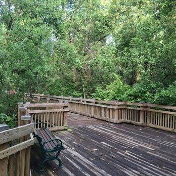 Arbor Park - Parks Near Me - Celebration, Florida Arbor Park - Parks Near Me - Celebration, Florida