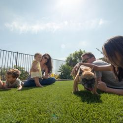 US Turf