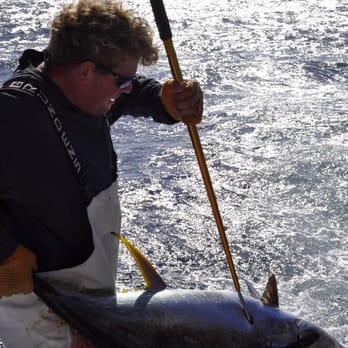 Hatteras Harbor Marina - JD hauling in our 75 lbs yellowfin tuna.   Tasted sooooo good! - Marinas Near Me - Hatteras, North Carolina