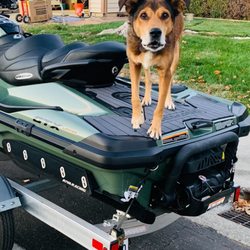 River Valley Feed & Pet Supply - Charlie standing on his greatest thrill!