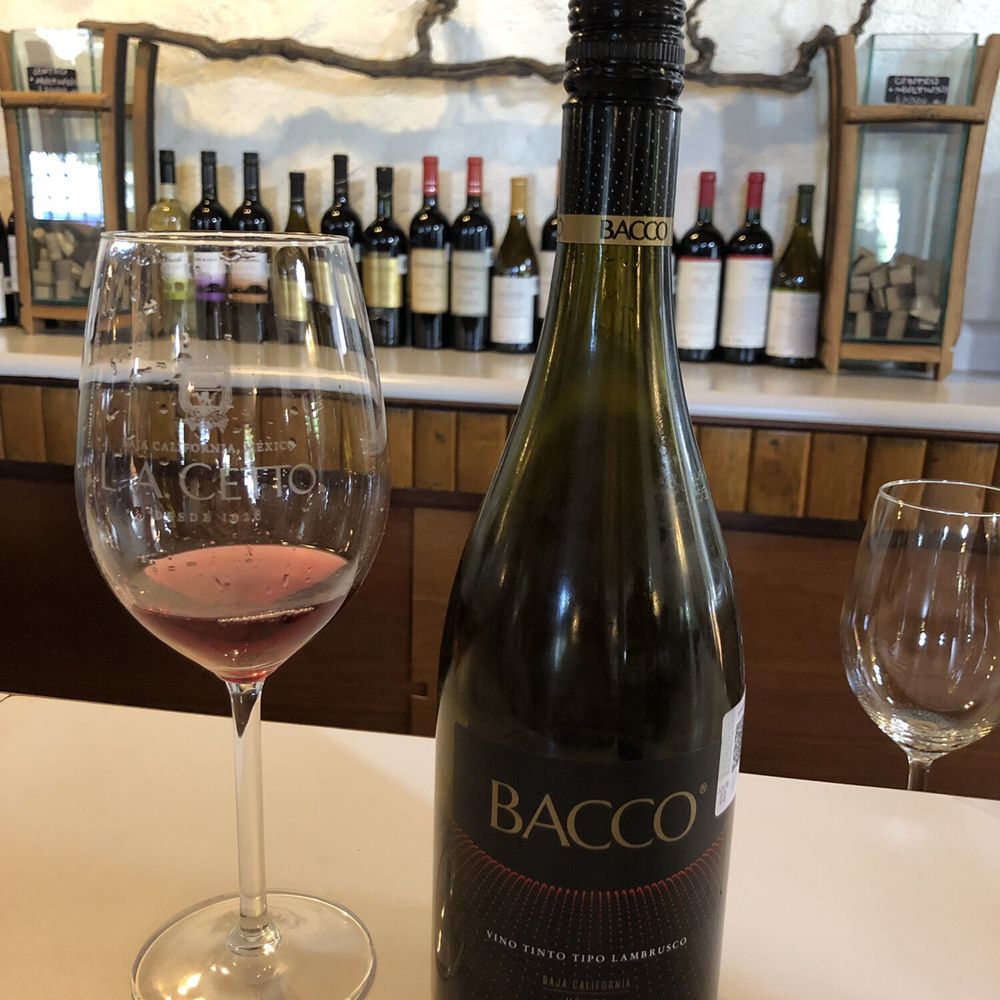 LA Cetto - Vino tinto tipo Lambrusco - Wineries Near Me - Valle de Guadalupe, BCN