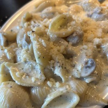 Casa Grille - White sauce pasta side - Italian Near Me - Fort Wayne, Indiana Casa Grille - White sauce pasta side - Italian Near Me - Fort Wayne, Indiana