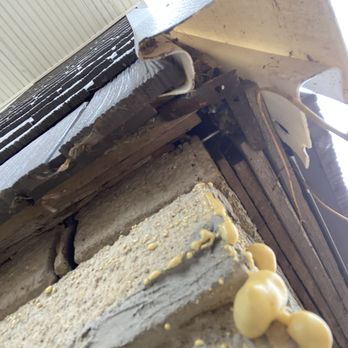 Moderno Pest Control - Gaps in home allowing rodents and pests easy entry into home - Pest Control Near Me