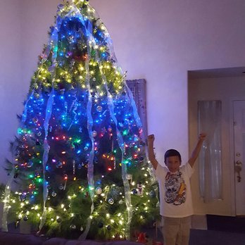 Rye Farms - Christmas Trees Near Me - Nuevo, California Rye Farms - Christmas Trees Near Me - Nuevo, California