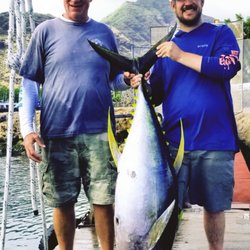 Live Bait Sport Fishing