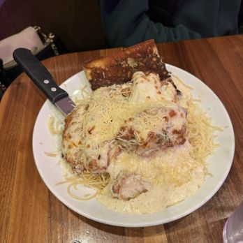 Jay Jay's Bistro - Chicken Parmigiana (with Alfredo sauce) - Mediterranean Near Me - Troy, Michigan
