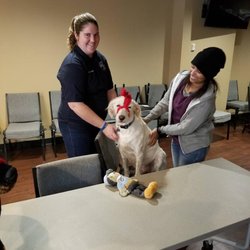 Humane Educators of Texas - Instructor Kelly Thyssen giving hands on training on how to apply a muzzle with Demo Dog Fiona.