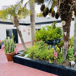 Montecito Heights Healthcare & Wellness Centre - Montecito Heights Healthcare & Wellness Centre garden.
