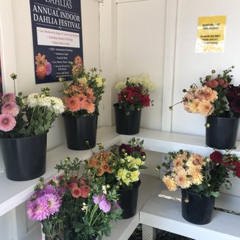 Swan Island Dahlias - Nurseries & Gardening Near Me - Canby, Oregon