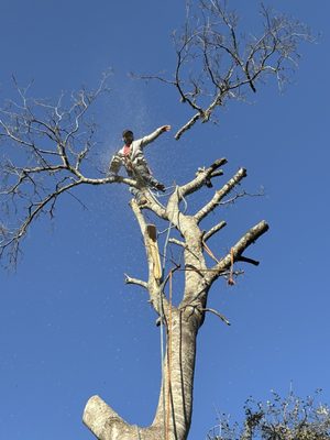 Bayseas Catfish House by null