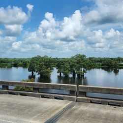 The Atchafalaya Experience