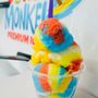Photo of Surf Monkey Premium Ice