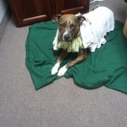 Afton Chiropractic Clinic & Spa - Sadie with lavendar hot towels..
