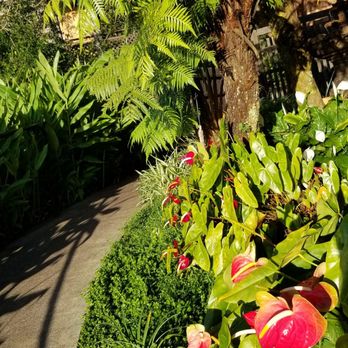 Kula Lodge & Restaurant - Flowers in the back garden - Breakfast & Brunch Near Me - Kula, Hawaii Kula Lodge & Restaurant - Flowers in the back garden - Breakfast & Brunch Near Me - Kula, Hawaii