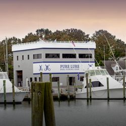 Pure Lure Brand House