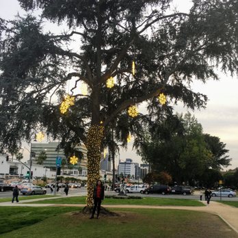 Beverly Gardens Park - Trees decorated for Christmas & NYE - Parks Near Me - Beverly Hills, California