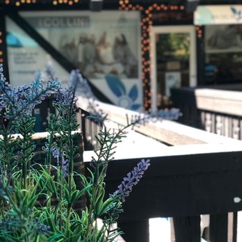 Spa Del Rio - Skin Care Near Me - Laguna Beach, California