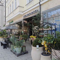 Blumen-Adler - 28.3.2026
