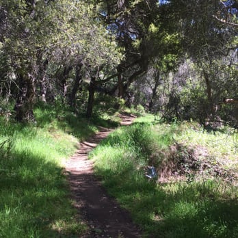 Rivas Canyon Trail - Green galore - Hiking Near Me - Pacific Palisades, California