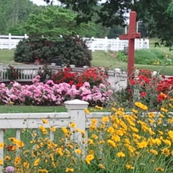 The Saltbox Inn