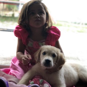 Puppies To Go - Pet Stores Near Me - Miami, Florida Puppies To Go - Pet Stores Near Me - Miami, Florida