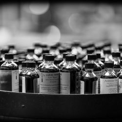 Voluptuary & Lucid Wines