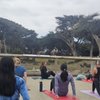 Zen at the Zoo gift card