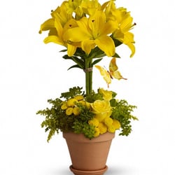 Le Roy's Florist & Flower Delivery - Yellow Fellow