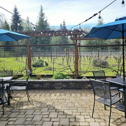 RainCoast Farms - Patio seating with views of the vines