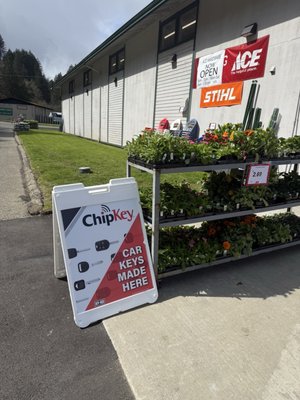 Ace Hardware