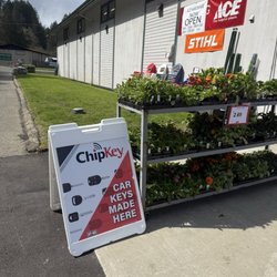 Ace Hardware
