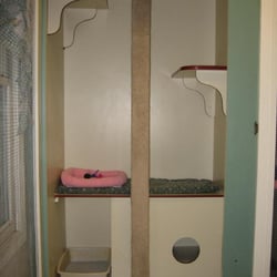 Cat's Cradle - One of our luxurious suites!