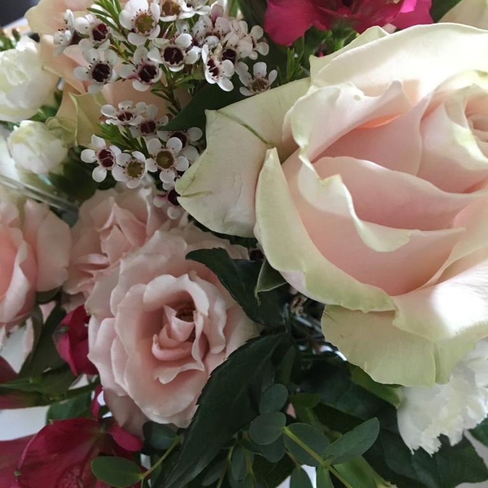 Backmann Florist - Florists Near Me - Derry, New Hampshire